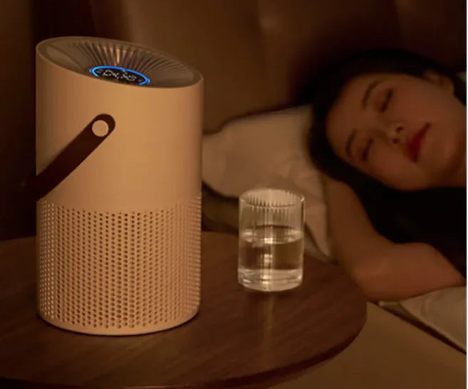 Portable Air Purifier and Sterilizer